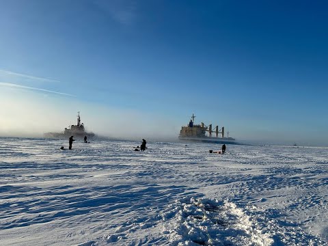 Видео: Корюшка, Шпунты, Кронштадт, Финский залив. Мороз -20 градусов. #рыбалка #зима #рецепты