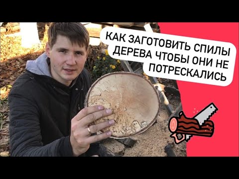 Видео: Как заготовить спилы дерева чтобы они не потрескались