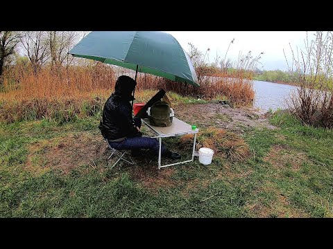 Видео: Риболовля в дощ, там де багато риби. Шалений жор карася!!!