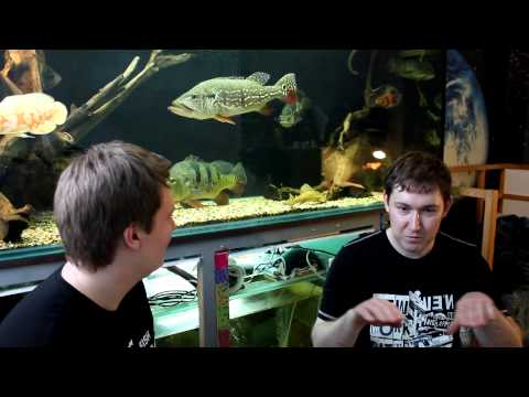 Видео: Аквариумный туризм №11(Частная коллекция Дмитрия , г.Екатеринбург)
