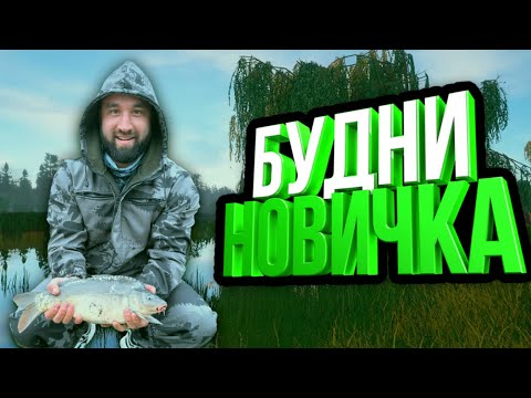 Видео: 🔴Русская Рыбалка 4 - Дневной Улов. Розыгрыш🔴