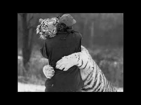 Видео: Гио Пика "WHITE TIGER" ft RAIKAHO | RAP Boom Bap Instrumental 2025
