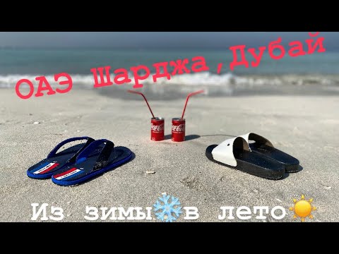 Видео: Из зимы❄️в лето!☀️ОАЭ Шарджа, Дубай.