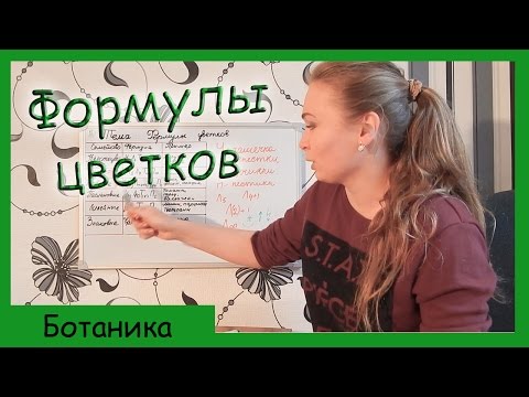 Видео: Формулы цветков.