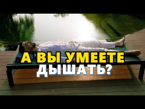 Видео: Вим Хоф. Секрет дыхания, которое лечит ВСЕ!