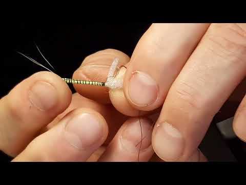 Видео: Мормомушка "Подёнка" как сделать хвостик.