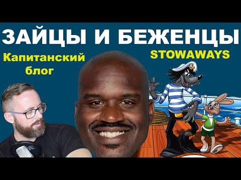 Видео: Зайцы, безбилетники и нелегалы.