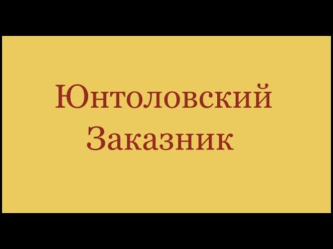 Видео: Юнтоловский заказник