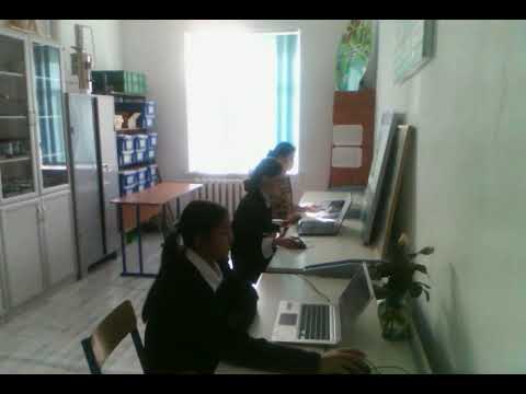 Видео: тест