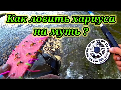 Видео: Как ловить хариуса на муть ?👆Рыбачу и объясняю.