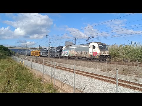 Видео: 🇺🇦Электровоз Renfe 253 с составом (автовоз) проезжает мимо Splau