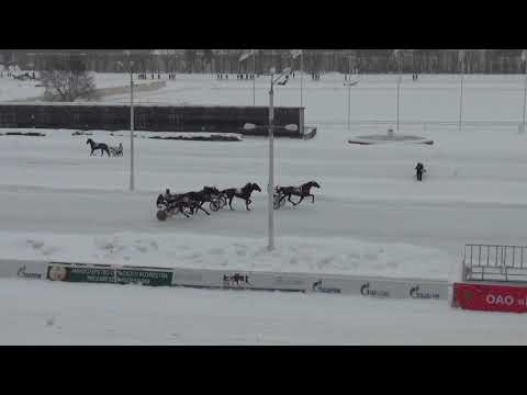 Видео: Московский ипподром. Бега. 18.02.18. Все финиши дня.