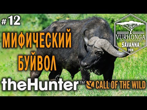 Видео: theHunter Call of the Wild #12 🔫 - Мифический Буйвол - Штуцер - Бородавочник, Буйвол