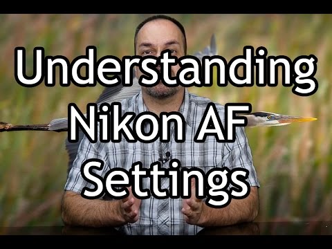 Видео: Режимы автофокуса Nikon