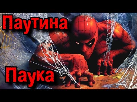 Видео: Человек паук и его паутина, реальны? | Spider-Man Web