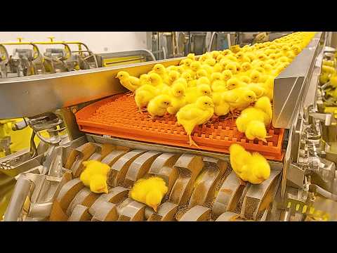 Видео: 35 минут о потрясающем непрерывном производственном оборудовании и самом замечательном работнике ...