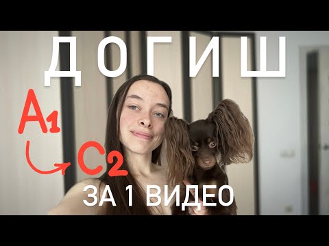 Видео: Язык собак. Как предсказать поведение собаки?