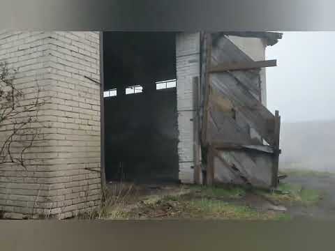 Видео: Полузаброшенные сельхоз постройки в пос. Таммику