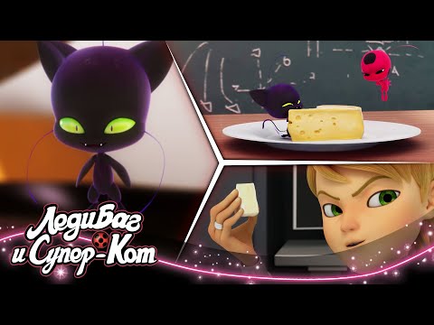 Видео: ЛЕДИ БАГ И СУПЕР-КОТ | 🐞 ПЛАГ 🔝 | СЕЗОН 3 | Официальный канал