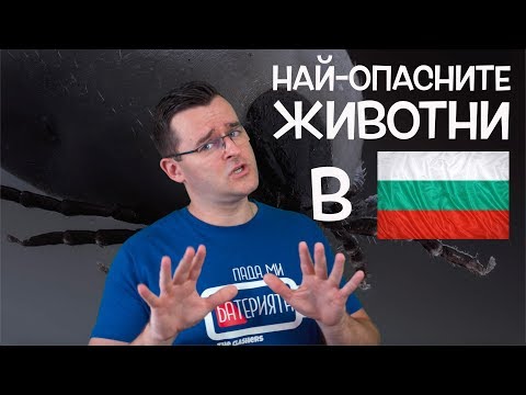 Видео: 10 от Най-опасните животни, които се срещат в България