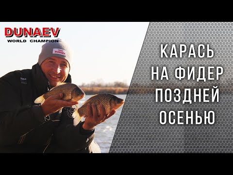 Видео: Карась на фидер в ноябре. Супер рыбалка!