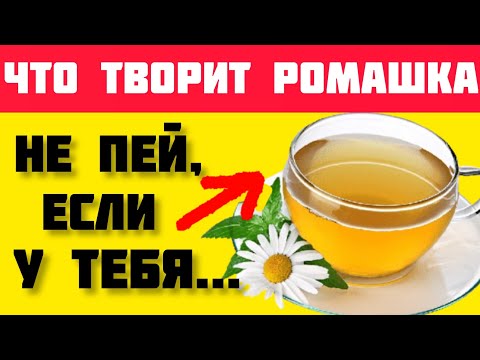 Видео: Вред ромашки. Кому нельзя употреблять ромашку?Что творит ромашковый чай