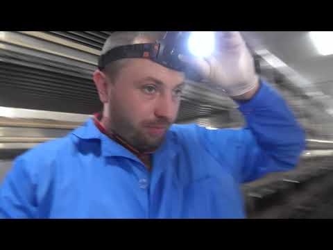 Видео: Механизмы и оборудования на грибной ферме. Загрузка торфа на полки. Вырастим Вместе.