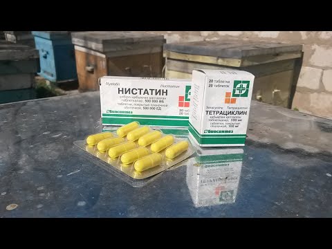 Видео: Профилактика болезней пчел/Как подкормить пчелопакет ранней весной.