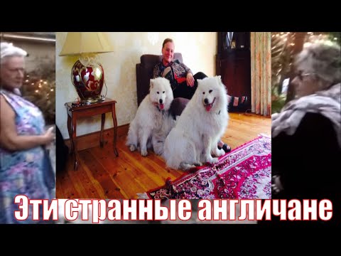 Видео: АНГЛИЧАНЕ ОПЯТЬ УДИВЛЯЮТ. АНГЛИЙСКИЙ САМОВАР И  ПАВЛИНЫ НА ФЕРМЕ