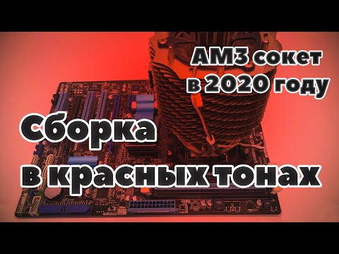 Видео: AM3 сокет в 2020 году/#Последуspline