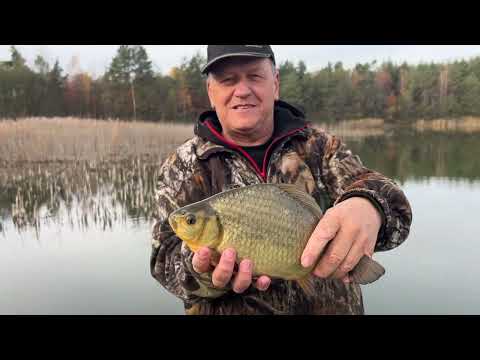 Видео: Bounty  в листопаді.