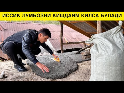 Видео: ИССИК ЛУМБОЗНИ НИМА АФЗАЛЛИГИ БОР