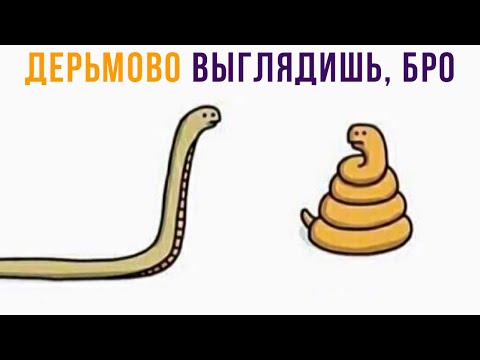 Видео: БРО, ВЫГЛЯДИШЬ НЕ ОЧЕНЬ))) Приколы | Мемозг 835