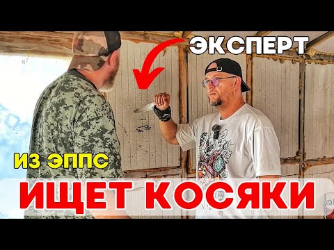 Видео: Эксперты приехали обследовать дом из ЭППС feat ⁨@BDD_Group⁩