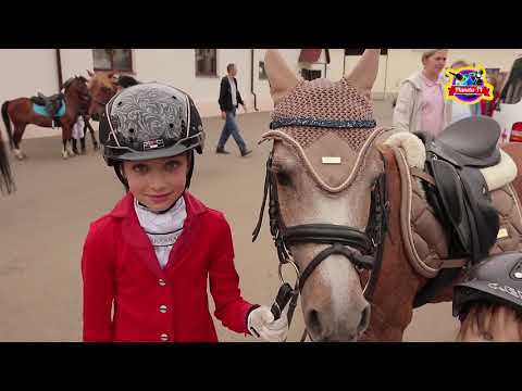 Видео: КСК ИЗМАЙЛОВО