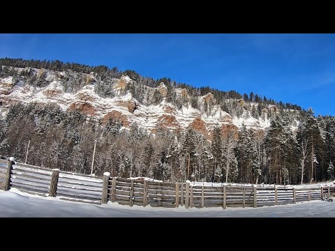 Видео: Гости на пороге - ставь Афганский казан, деревенское "золото"