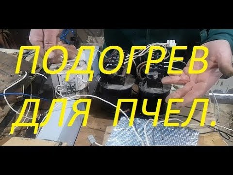 Видео: О весеннем подогреве пчел.