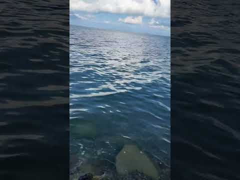 Видео: Гуляем в Тамани