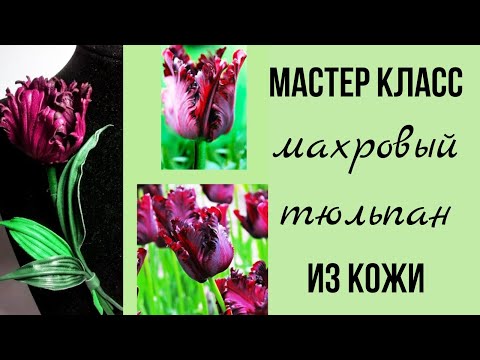 Видео: Мастер класс брошь из кожи. Тюльпан