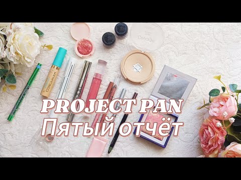 Видео: PROJECT PAN 2024. Пятый отчёт.
