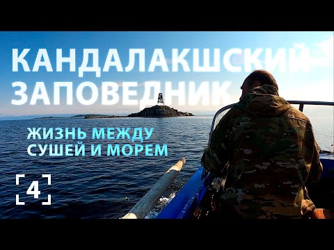 Видео: Литораль Белого моря. Островные и материковые территории Кандалакшского заповедника