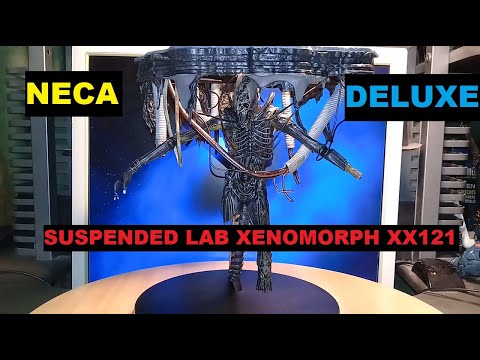 Видео: Обзор! Подвесная лабораторная модель Neca Deluxe Xenomorph XX121 из фильма «Чужой: Ромул»!