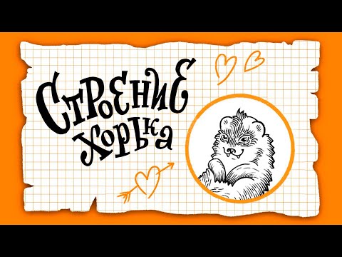 Видео: Схема строения хорька. Иллюстрация по курсу "ТОП- иллюстраТОР".