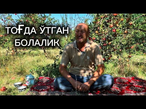 Видео: Тоғларда ўтган болалик.Дори кўрмаган олмалар