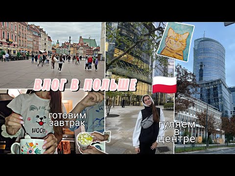 Видео: Влог в Польше. Гуляем в центре, рисую, готовим завтрак 🌿🗺️