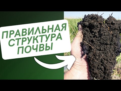 Видео: Как УЛУЧШИТЬ Структуру Почвы.