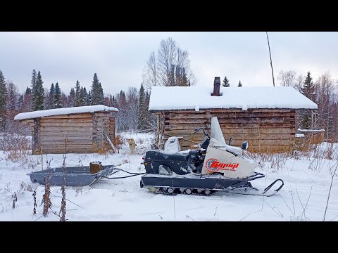 Видео: МЕДВЕДЬ ВЫБИЛ В ИЗБУШКЕ ОКНО! ПРОБИВАЕМСЯ В ТАЙГУ НА БУРАНЕ / ЖИЗНЬ В ЛЕСУ У РЕКИ.