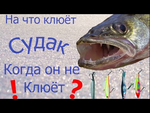 Видео: Зимняя рыбалка - судак и приманки на которые он ловится.