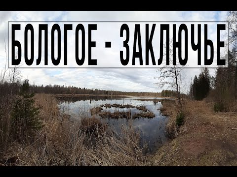 Видео: Тверская область, маршрут Бологое - Заключье