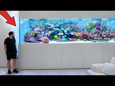 Видео: Самый красивый частный рифовый аквариум! **5000 ЛИТРОВ**